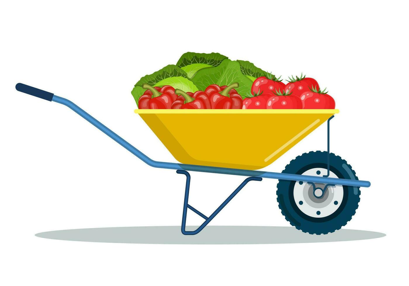 Garden cart with cabbage, peppers, tomatoes. Organic farm products. Metal wheelbarrow full of ripe vegetables. Vector illustration in flat style