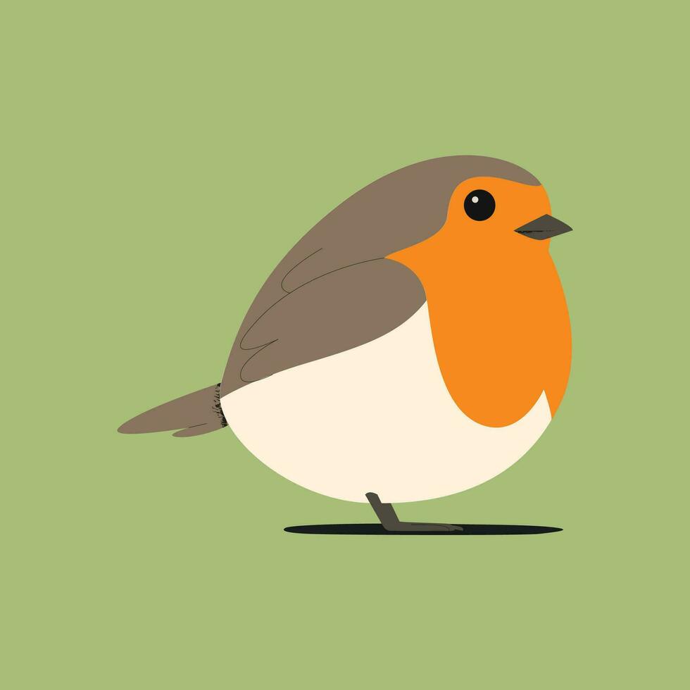 Robin bird. Vector illustration of a robin on a green background.
