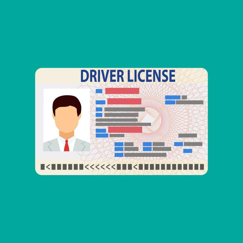 Car driver license identification card with photo. vector