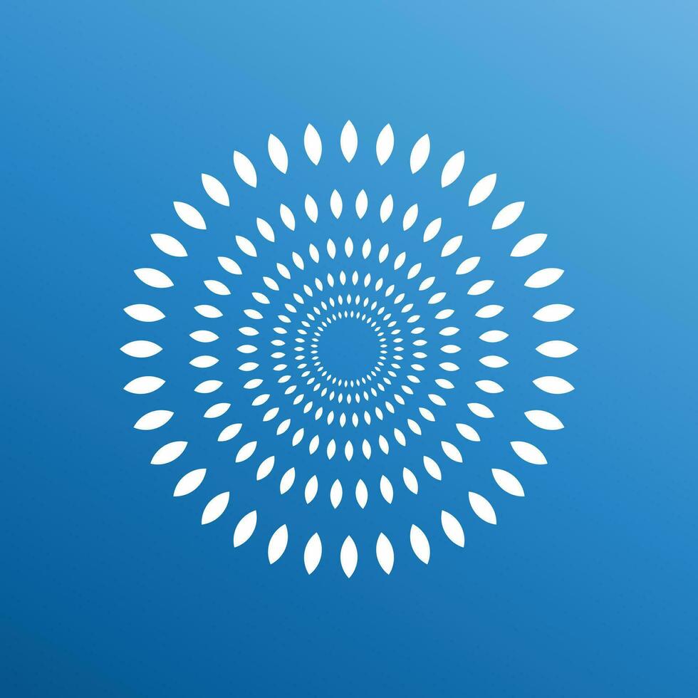 circle mandala design vector