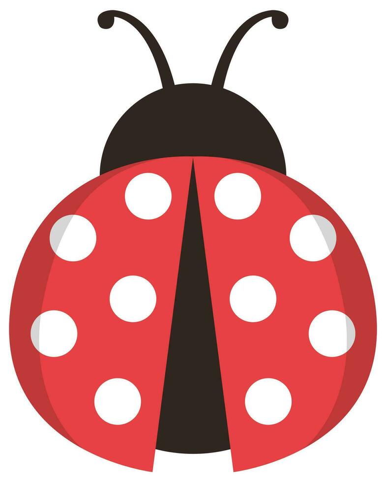 Cute ladybug icon isolated on a white background. vector