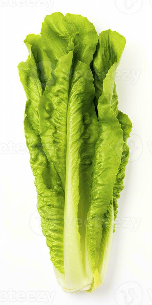 AI generated Lettuce isolated on white background. AI Generated photo