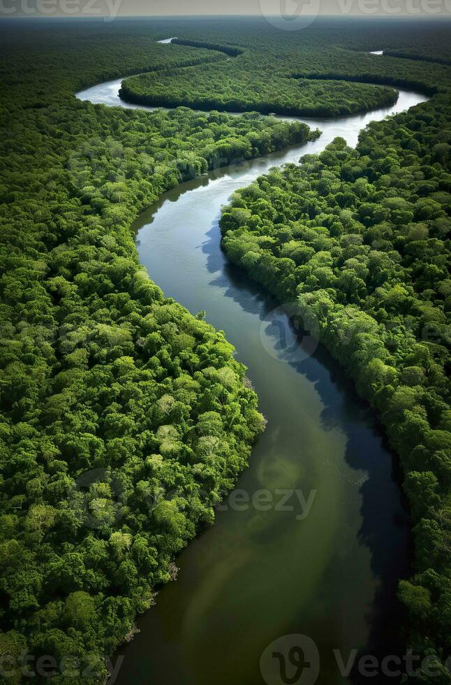 ai generado aéreo ver de el amazonas selva paisaje con río doblar. generativo ai foto