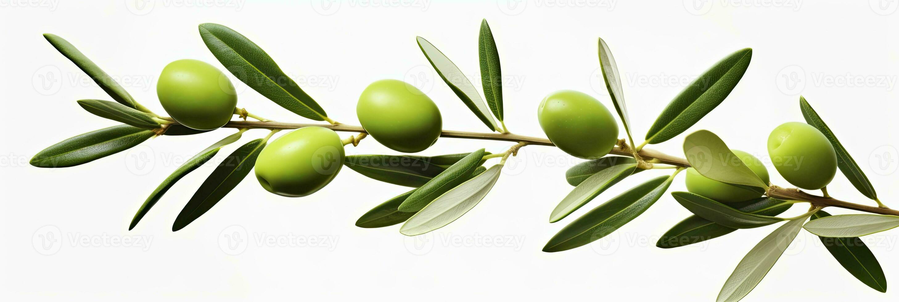 AI generated Olive tree branch, green olives and leaves on white background. AI Generated. photo