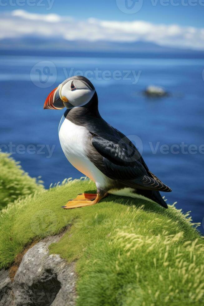 AI generated Puffin bird on a green grass patch. AI Generated photo