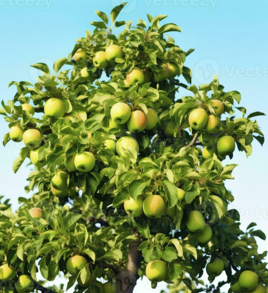 ai generado un hermosa verde manzana árbol. ai generado foto