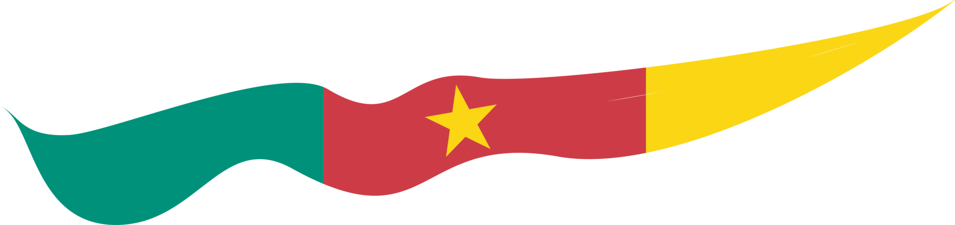 Cameroon Flag Ribbon Shape png
