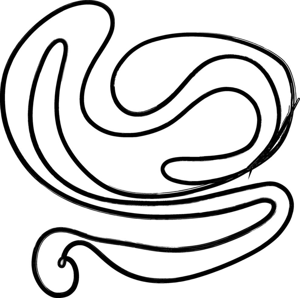 Abstract figure drawing line decoration. vector