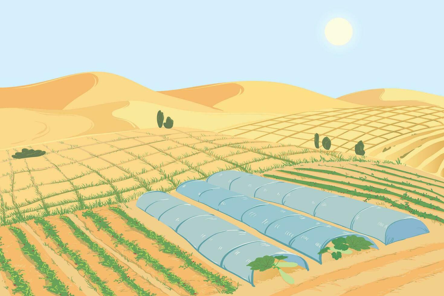 Vegetable plantations in the desert. The concept of combating desertification and droughts, creating fertile soils. Beds with zucchini in the sand. Vector illustration.