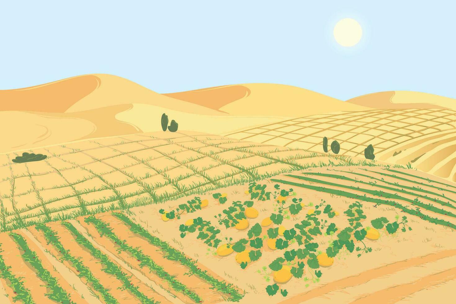 el concepto de presentando agrícola tecnologías a combate el global problema de tierra desertificación paisaje con vegetal granja organizado en tierra regenerado desde el desierto. melones en el arena vector