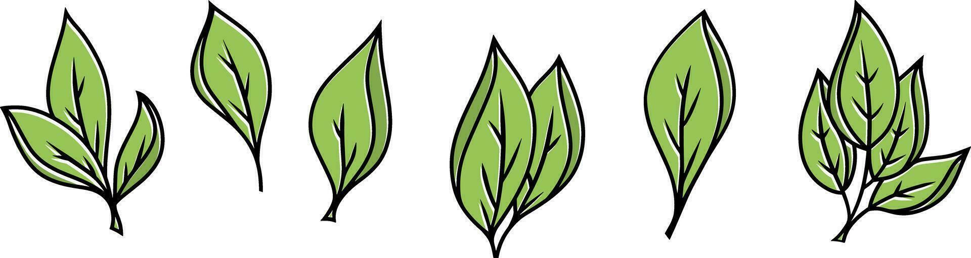 Doodle leaf icon Sketch leaf  clipart Vector illustration