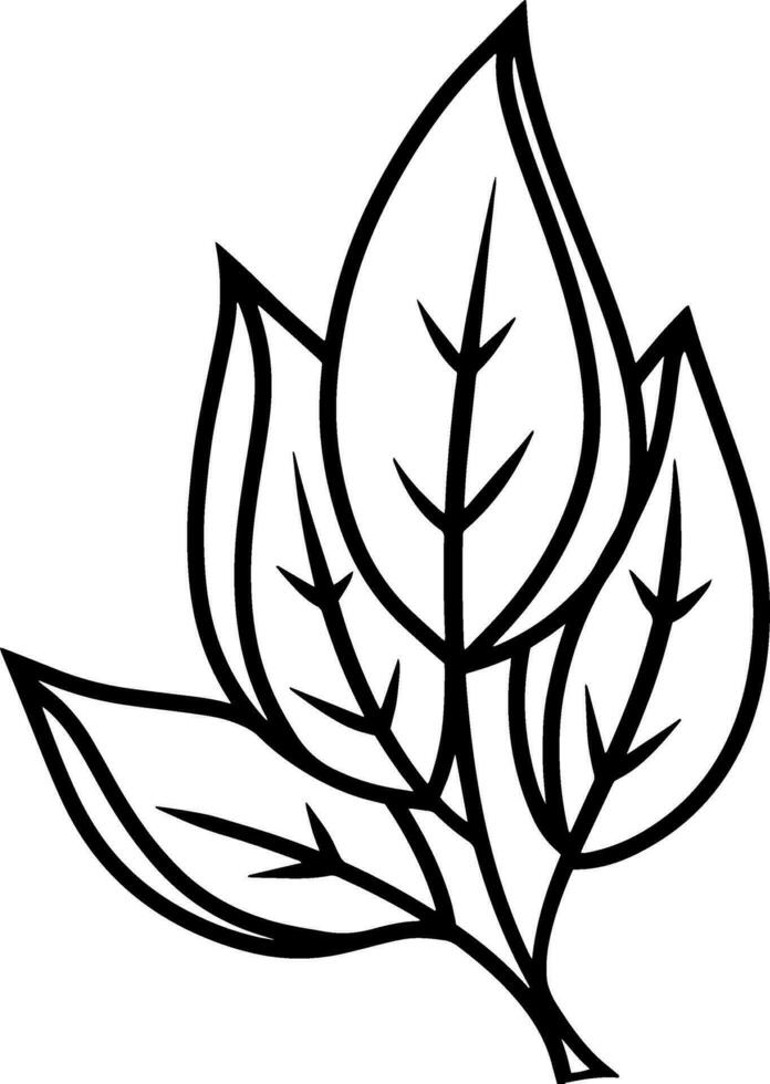 Doodle leaf icon Sketch leaf  clipart Vector illustration