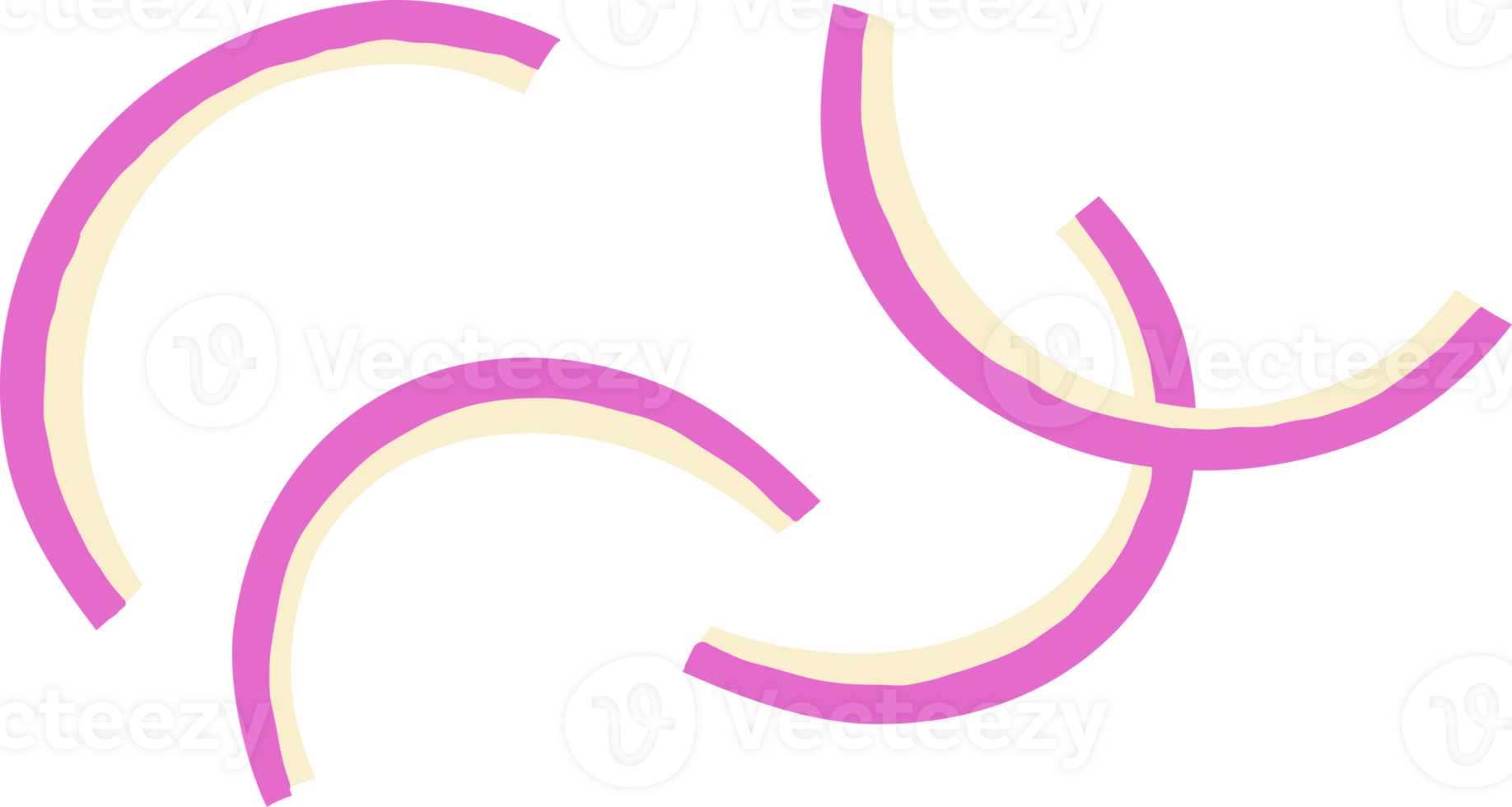 Red onion slices illustration png