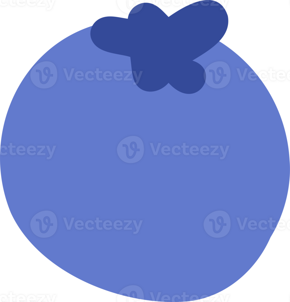 Blueberry fruit illustration png