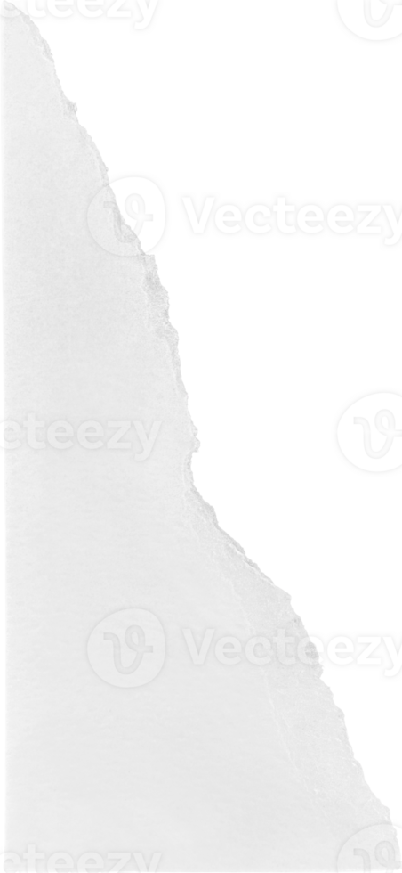 wit gescheurd papier png