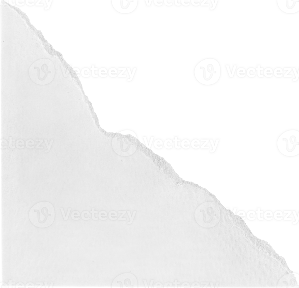 White Ripped Paper png