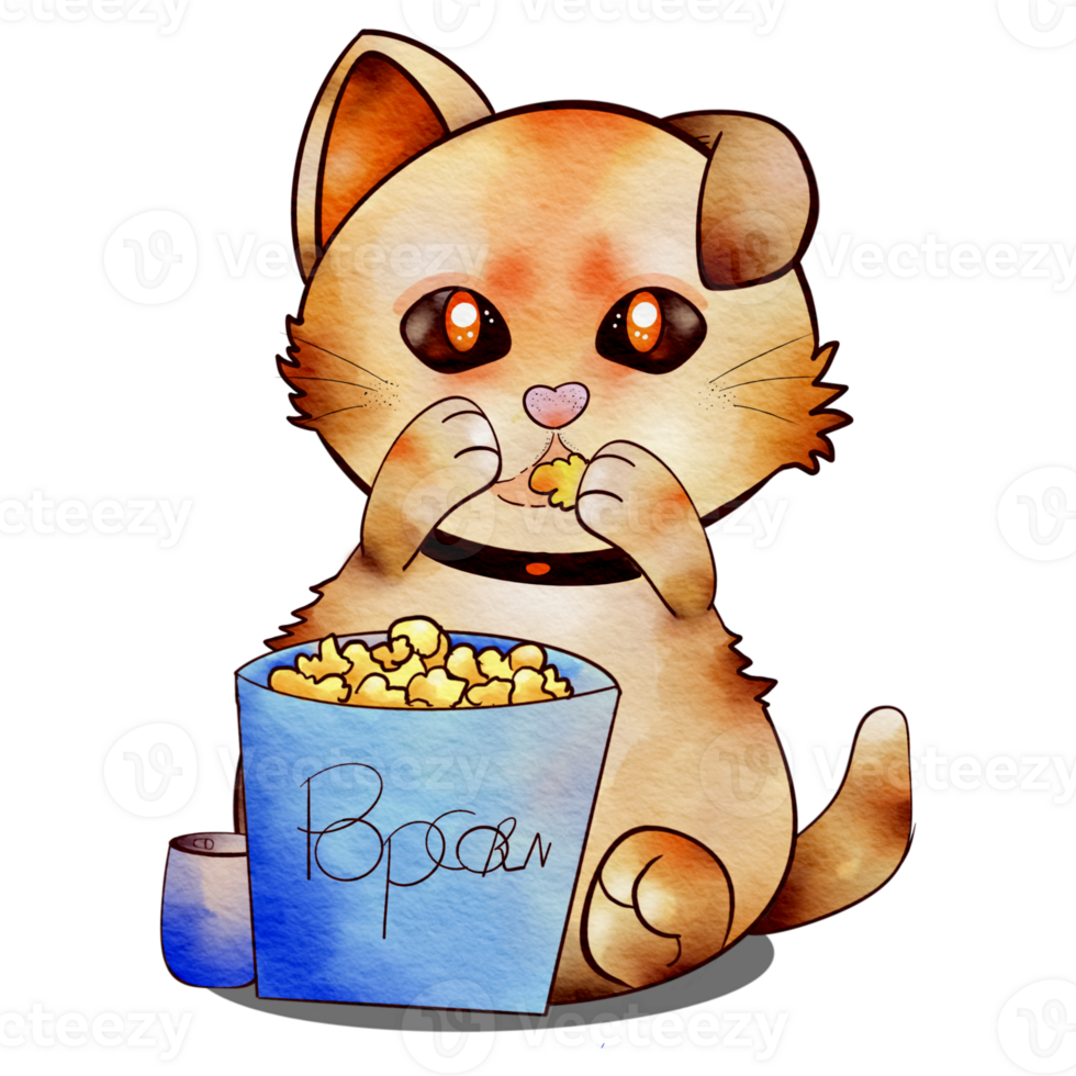 cat eating popcorn png