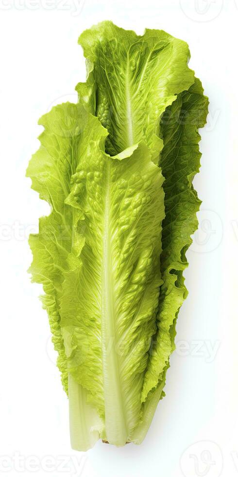 AI generated Lettuce isolated on white background. AI Generated photo