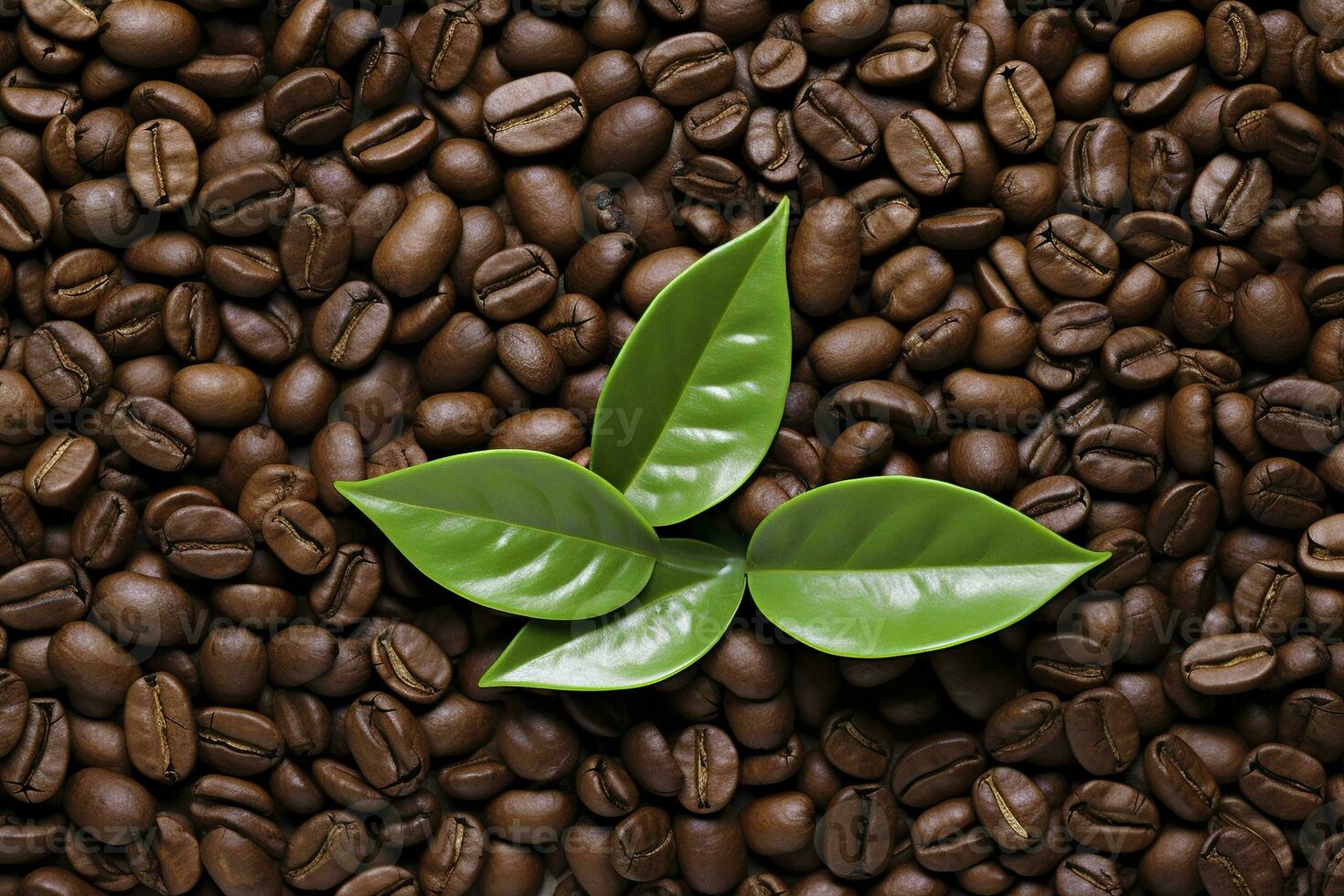 AI generated Green leaves with coffee beans as background. AI Generated photo