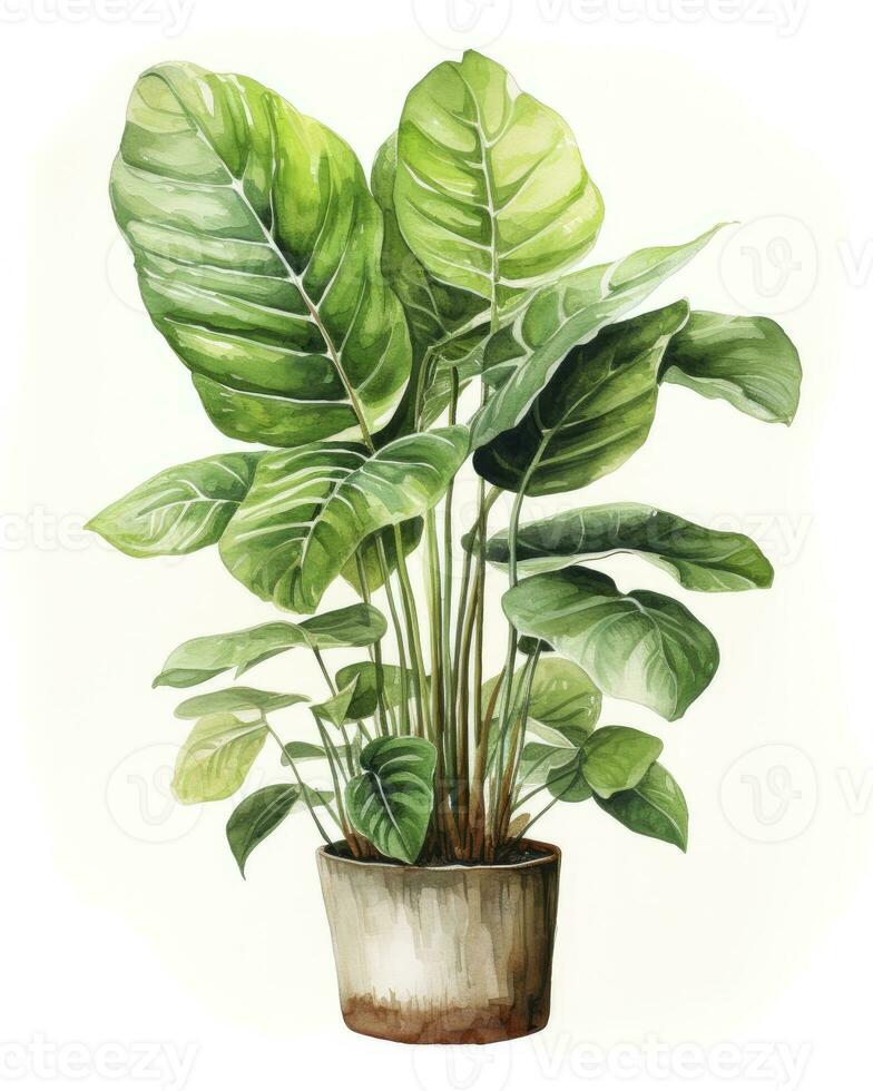 AI generated Watercolor potted houseplant isolated on white background. AI Generated photo