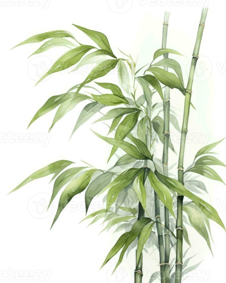 AI generated Watercolor bamboo clipart isolated on white background. AI Generated photo