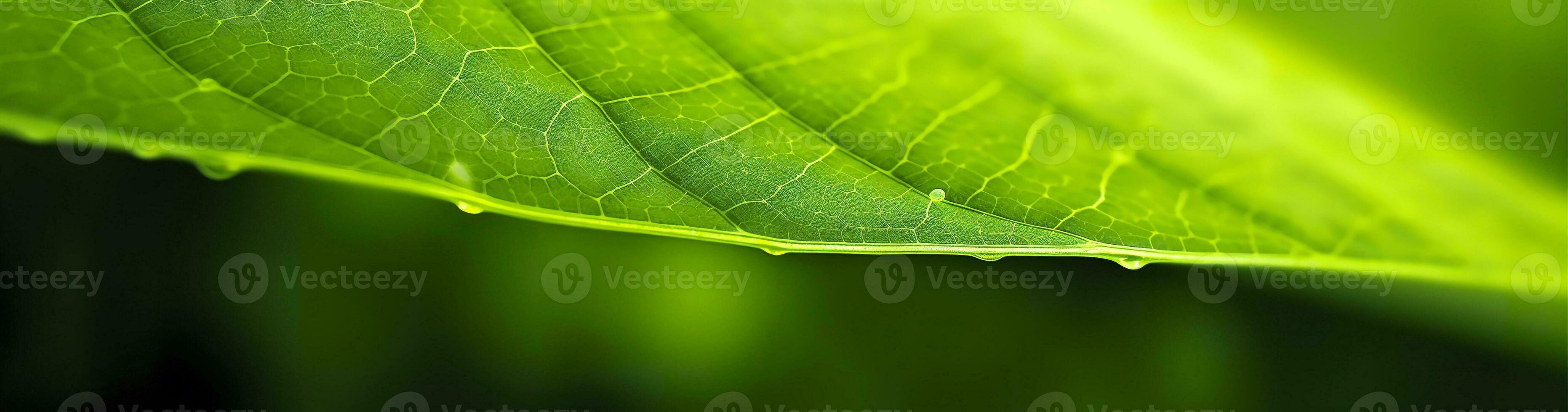 AI generated Green leaf nature background. AI Generated photo