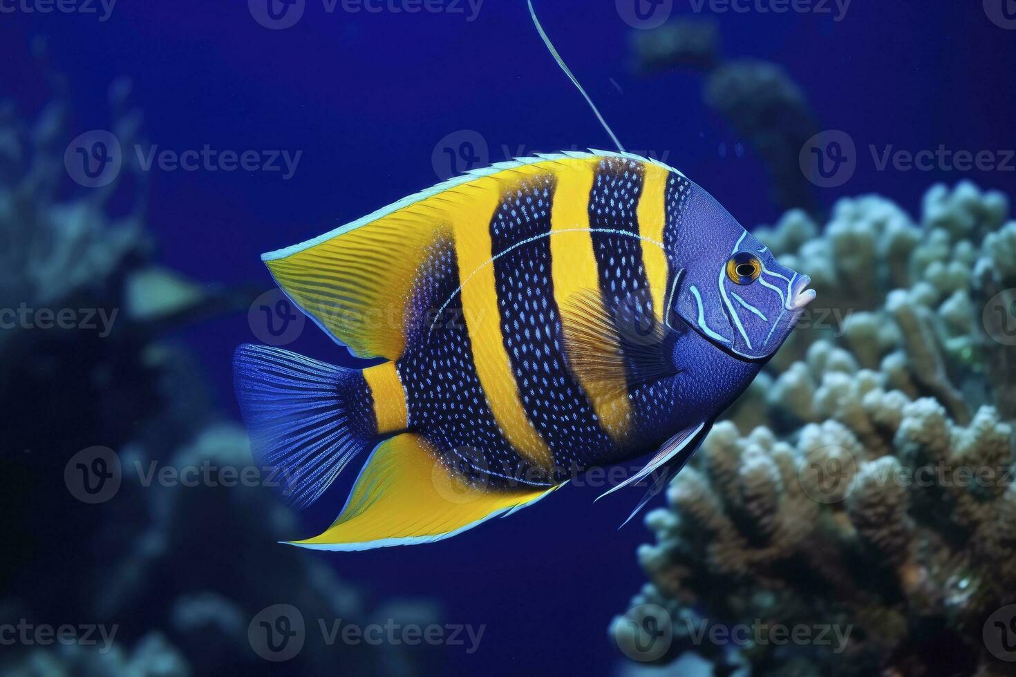 AI generated Beautiful angelfish in the ocean. AI Generated photo