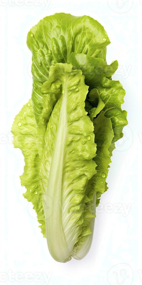 AI generated Lettuce isolated on white background. AI Generated photo