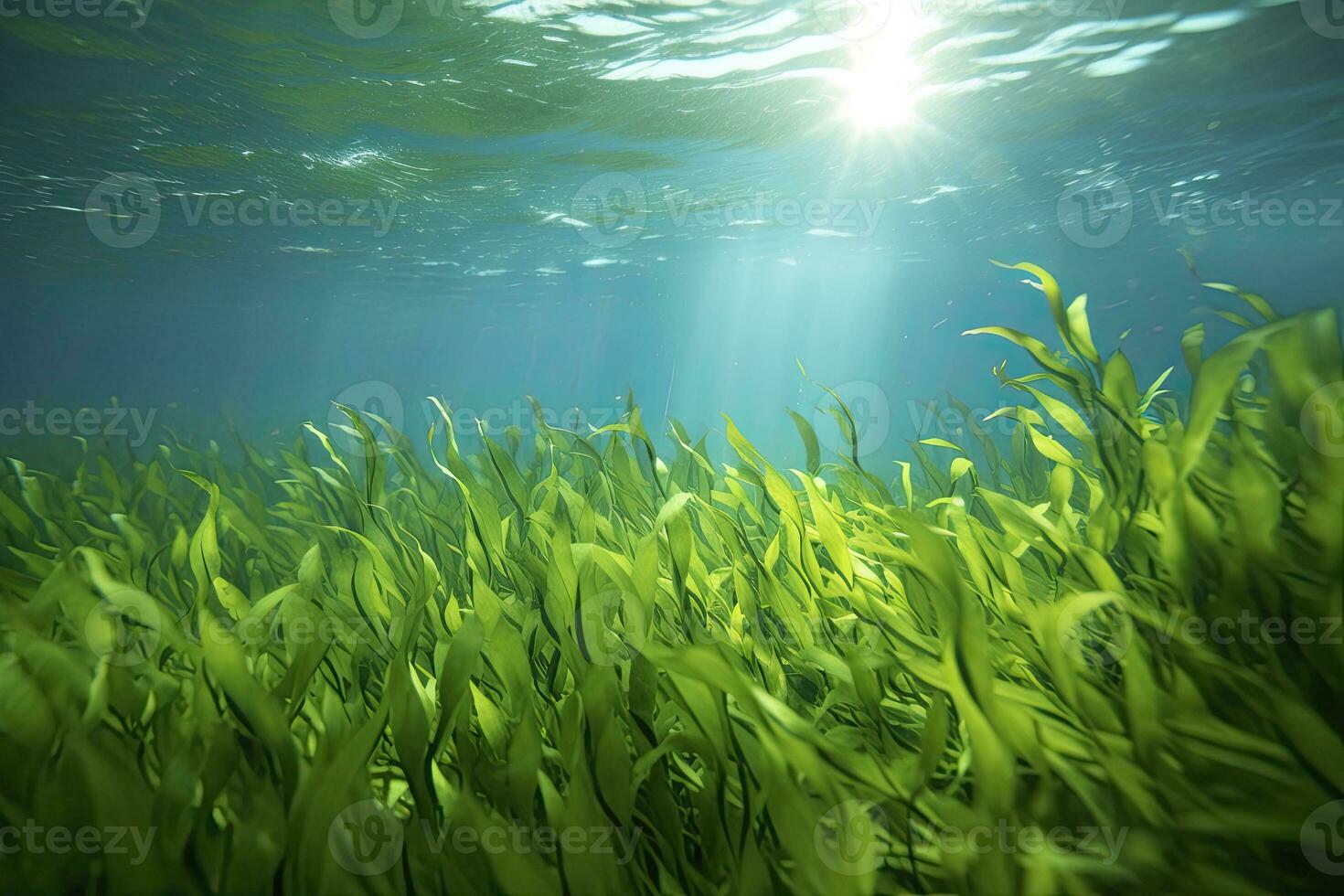 AI generated Underwater view of a group of seabed with green seagrass. AI Generated photo