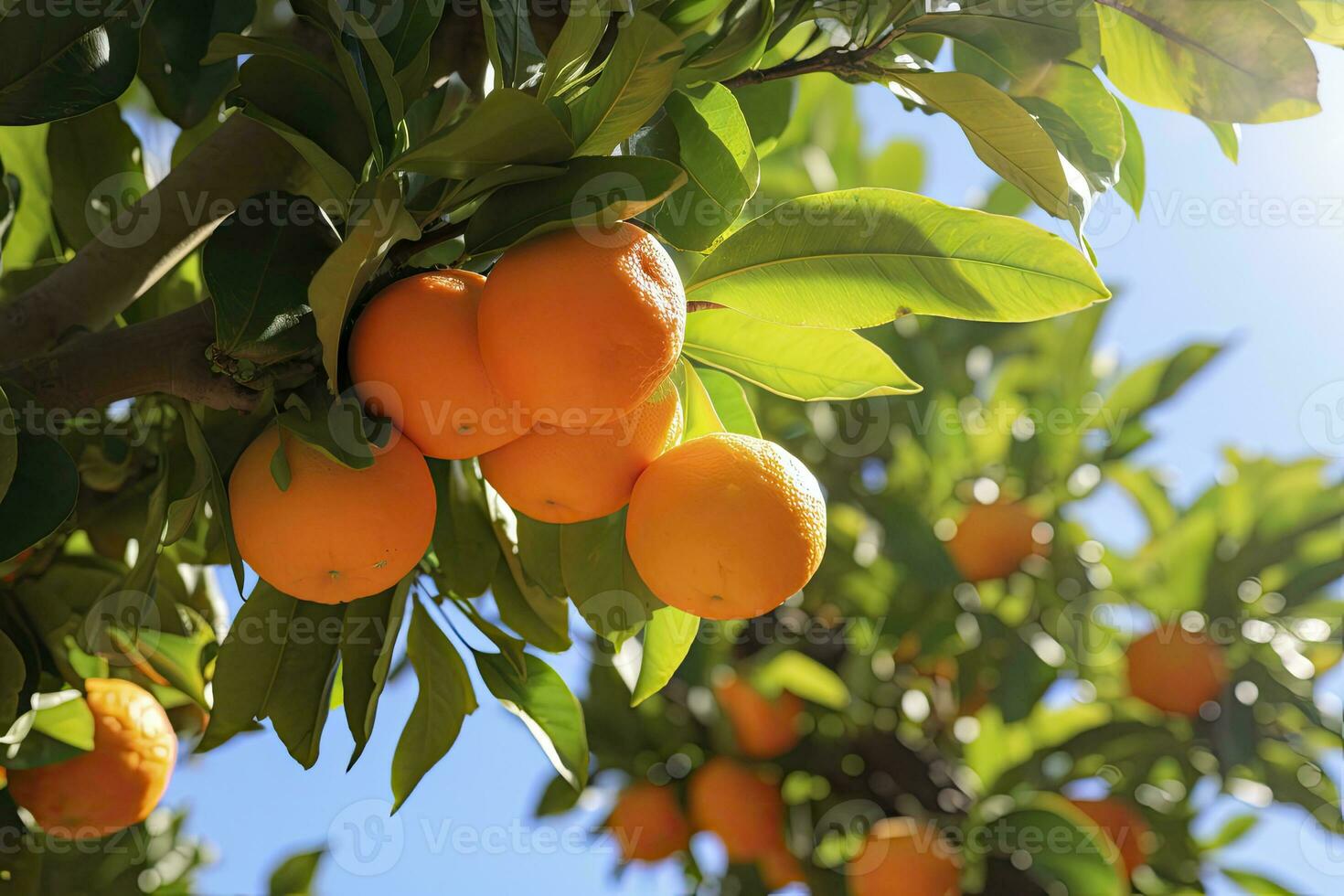 AI generated Orange Fruit on Tree. AI Generated photo