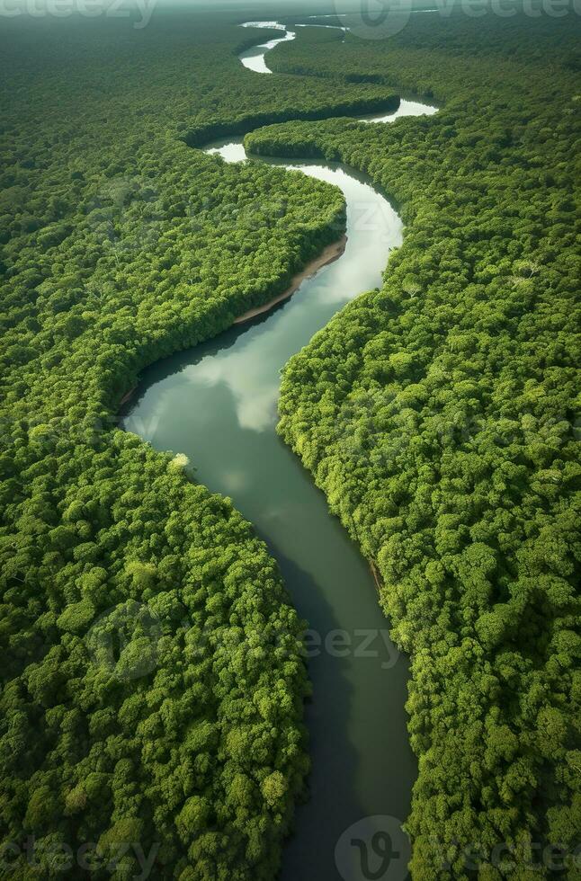 AI generated Aerial view of the Amazonas jungle landscape with river bend. Generative AI photo