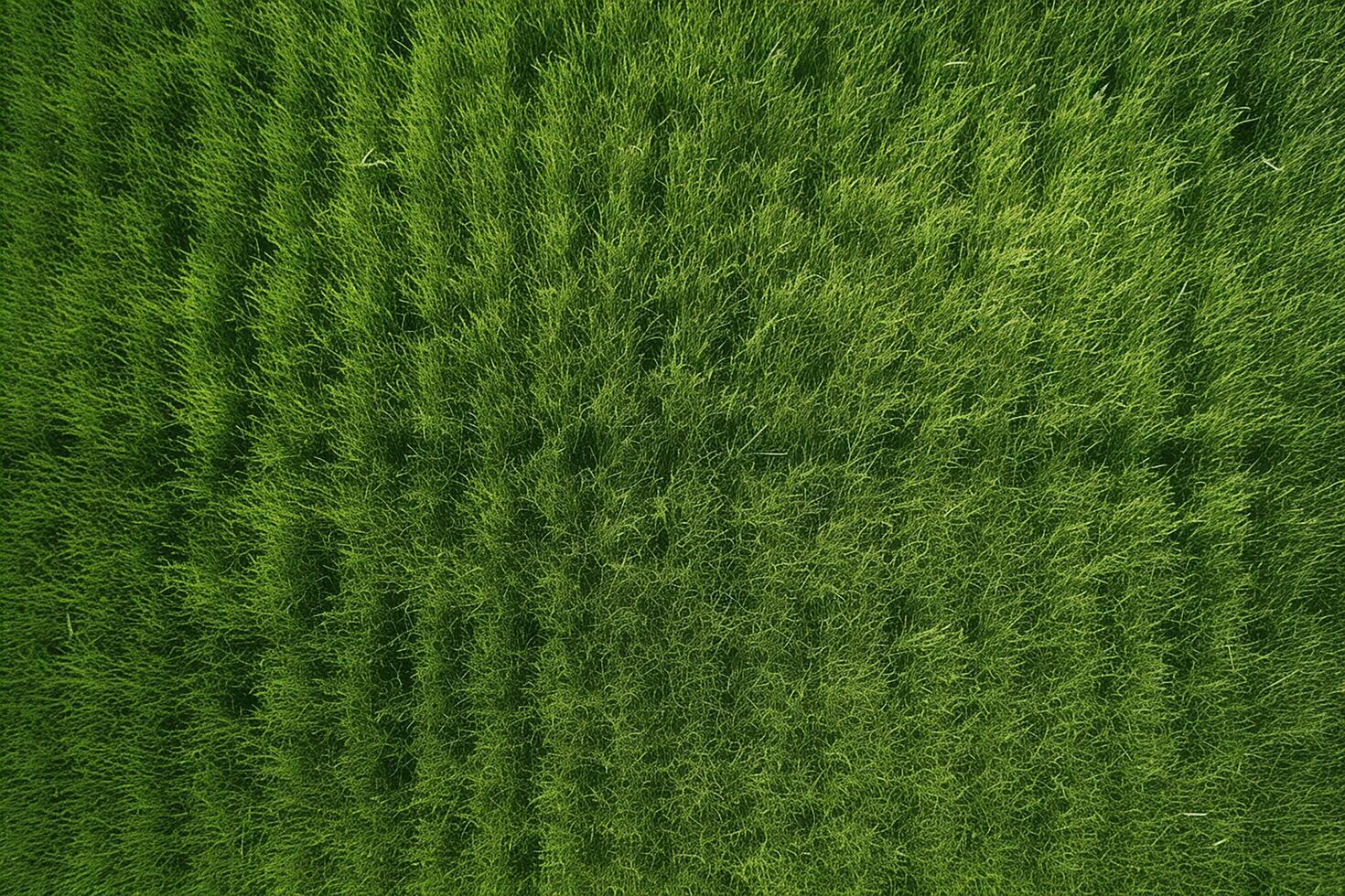 AI generated Perpendicular aerial view of green grass field photo