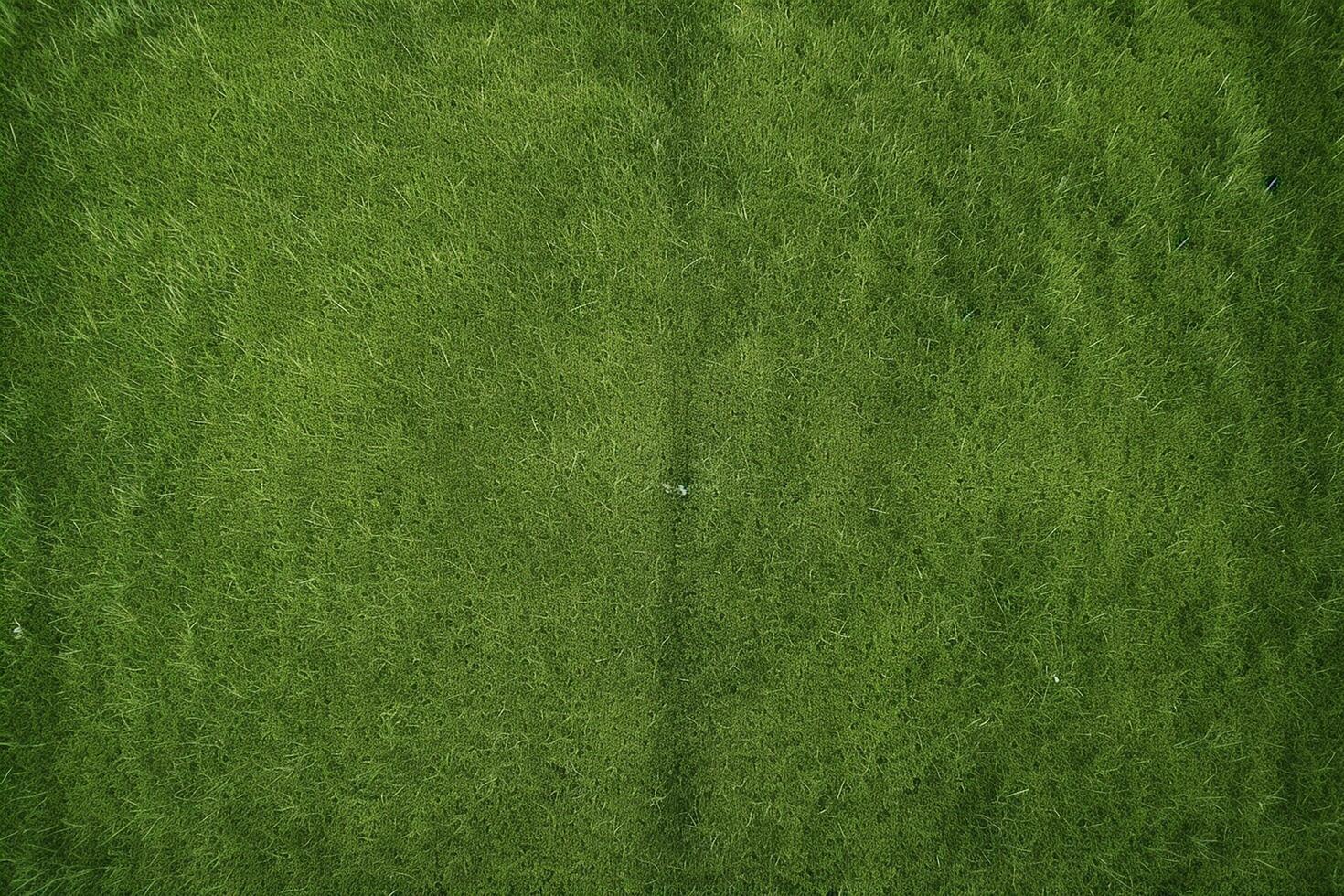 AI generated Perpendicular aerial view of green grass field photo