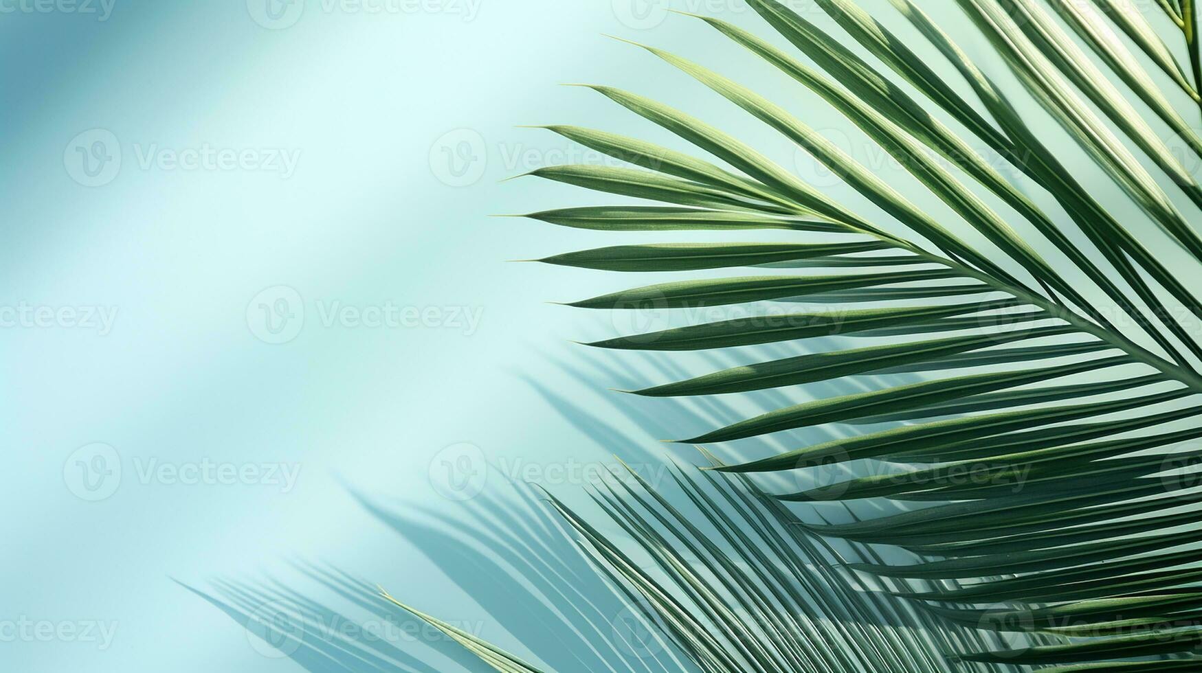 ai generado parte superior ver de palma hojas en azul antecedentes Copiar espacio, tropical palma hojas desde encima - plano laico foto