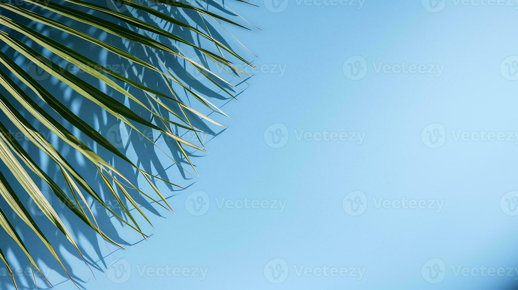 AI generated top view of palm leaves on blue background copy space, Tropical palm leaves from above - flat lay photo