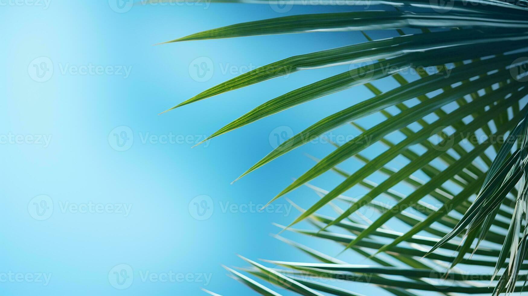 AI generated top view of palm leaves on blue background copy space, Tropical palm leaves from above - flat lay photo