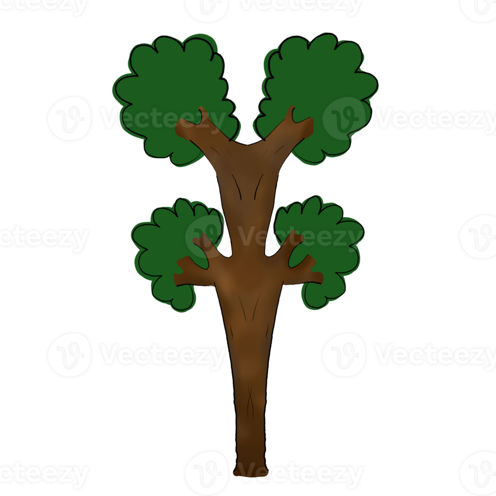 a green tree on a transparent background png