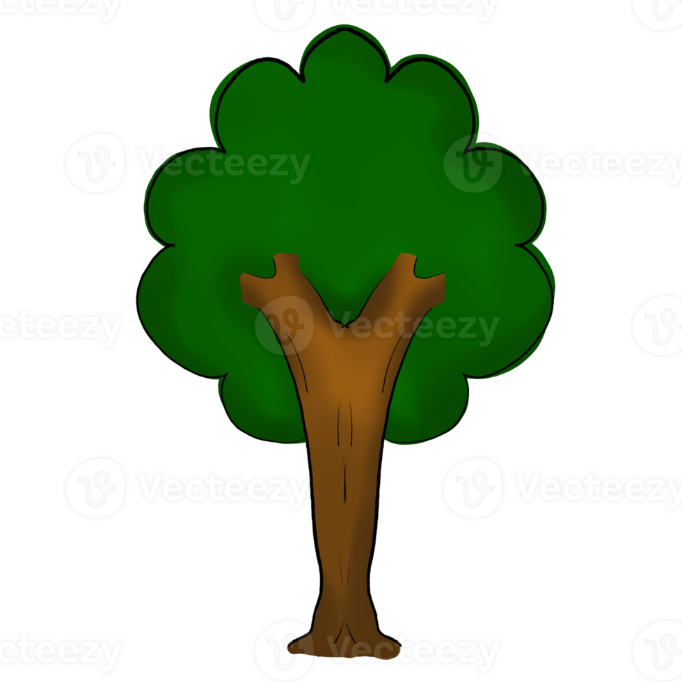 a green tree on a transparent background png