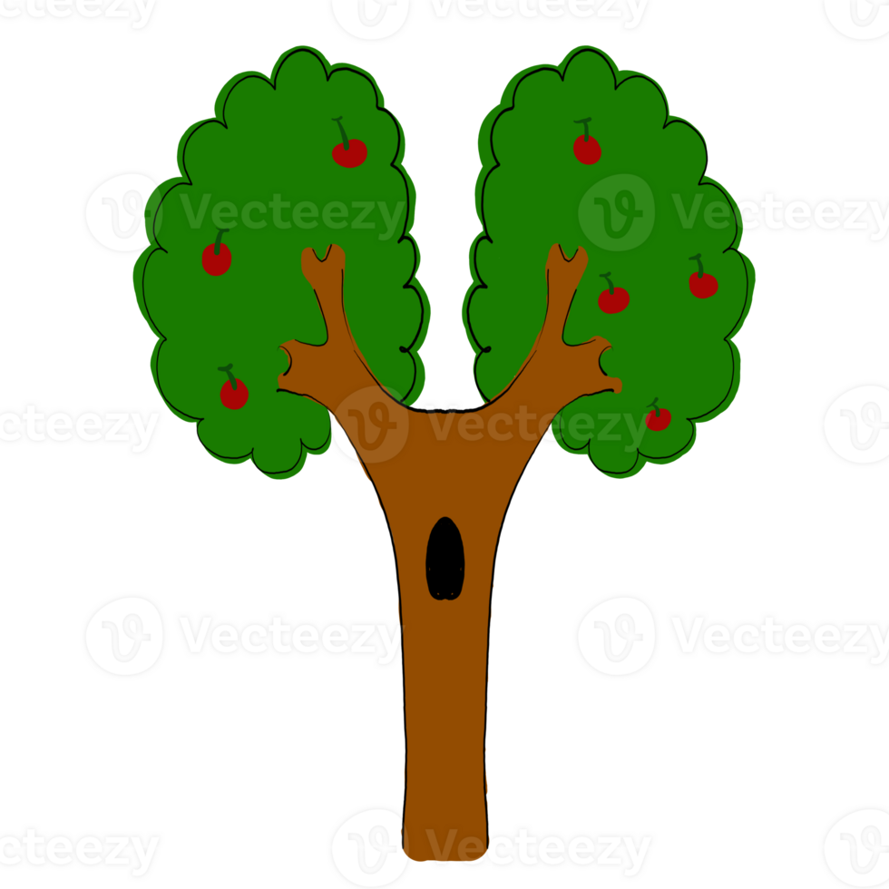 a green tree on a transparent background png