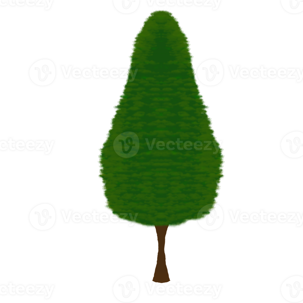 a green tree on a transparent background png