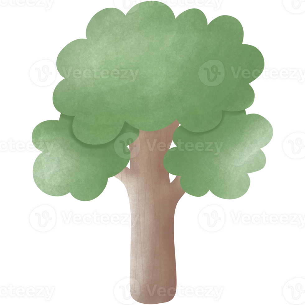 Illustration of a tree with full green leaves png
