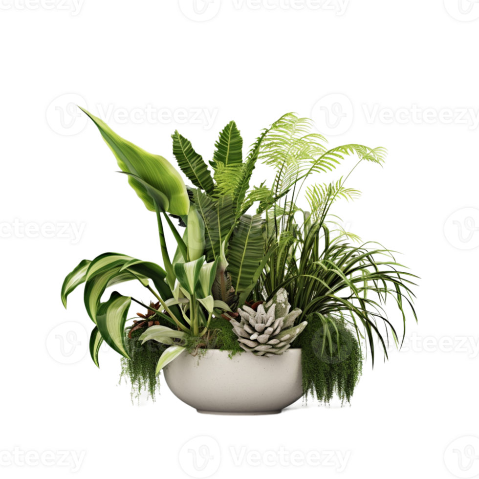 ai généré intérieur plante dans blanc pot sur transparent Contexte png