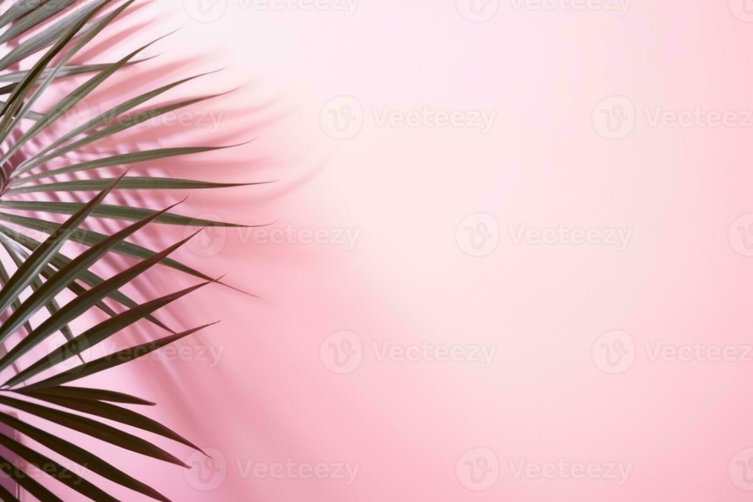AI generated Curving palm leaf and its shadow monochrome natural background photo