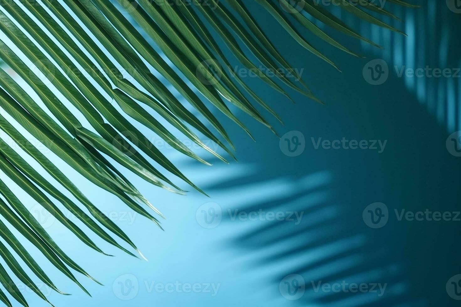 AI generated Curving palm leaf and its shadow monochrome natural background photo