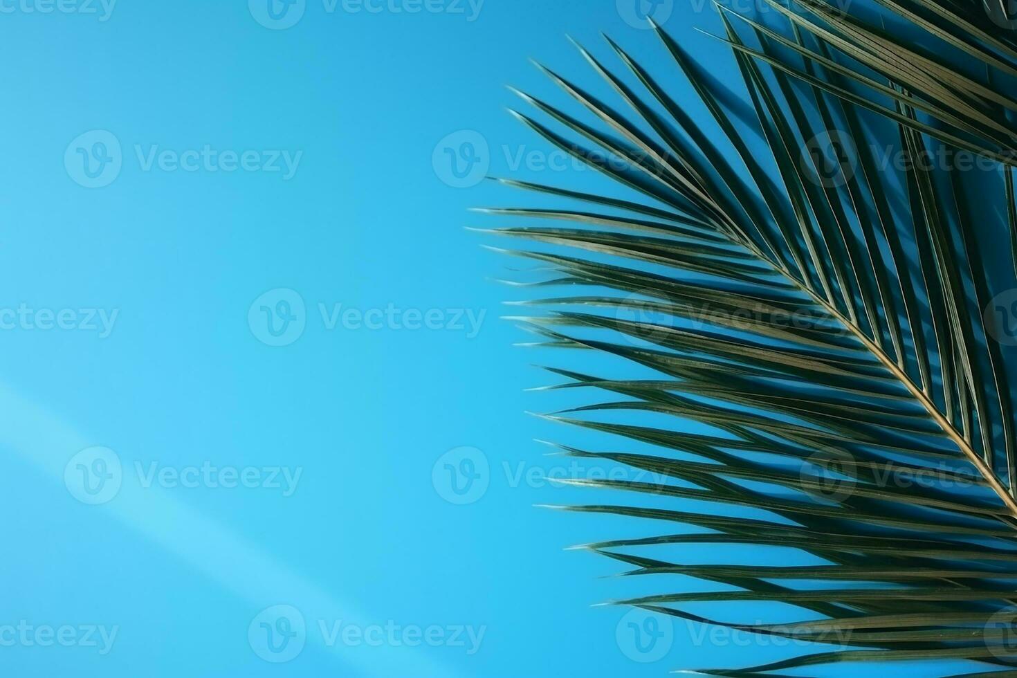 AI generated Curving palm leaf and its shadow monochrome natural background photo
