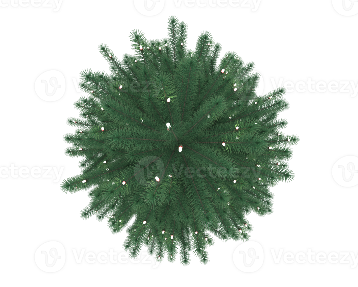 Christmas tree isolated on background. 3d rendering - illustration png