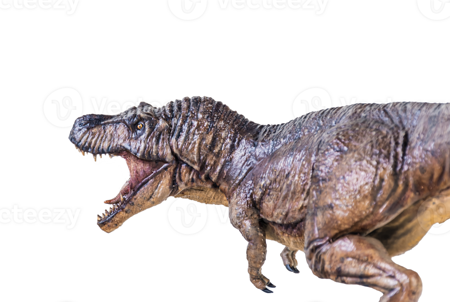 Trex Tyrannosaurus dinosaur on isolated background png