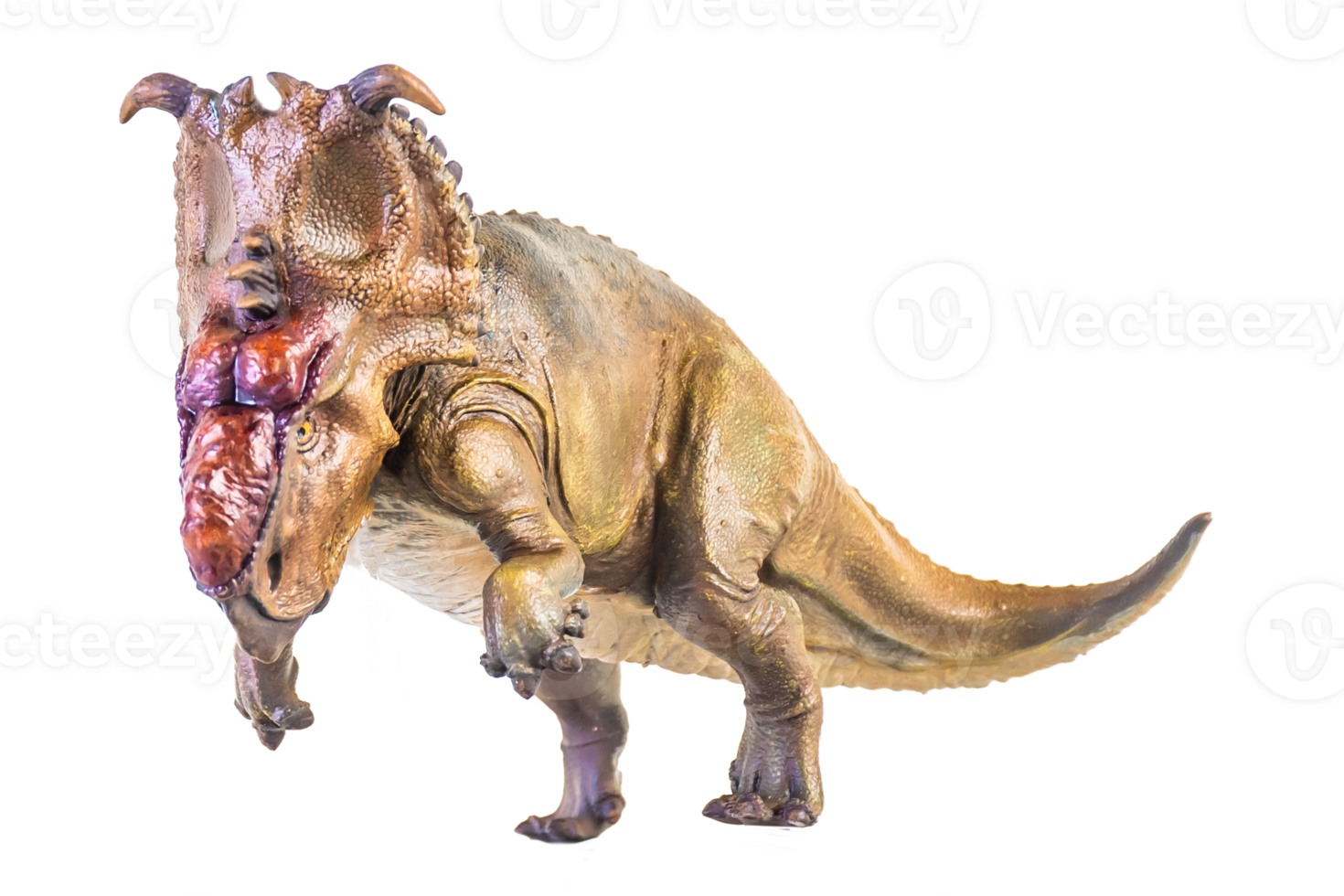 Pachyrhinosaurus dinosaur on isolated background png