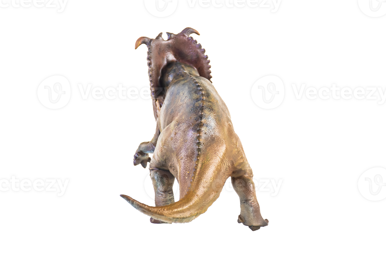 Pachyrhinosaurus dinosaur on isolated background png