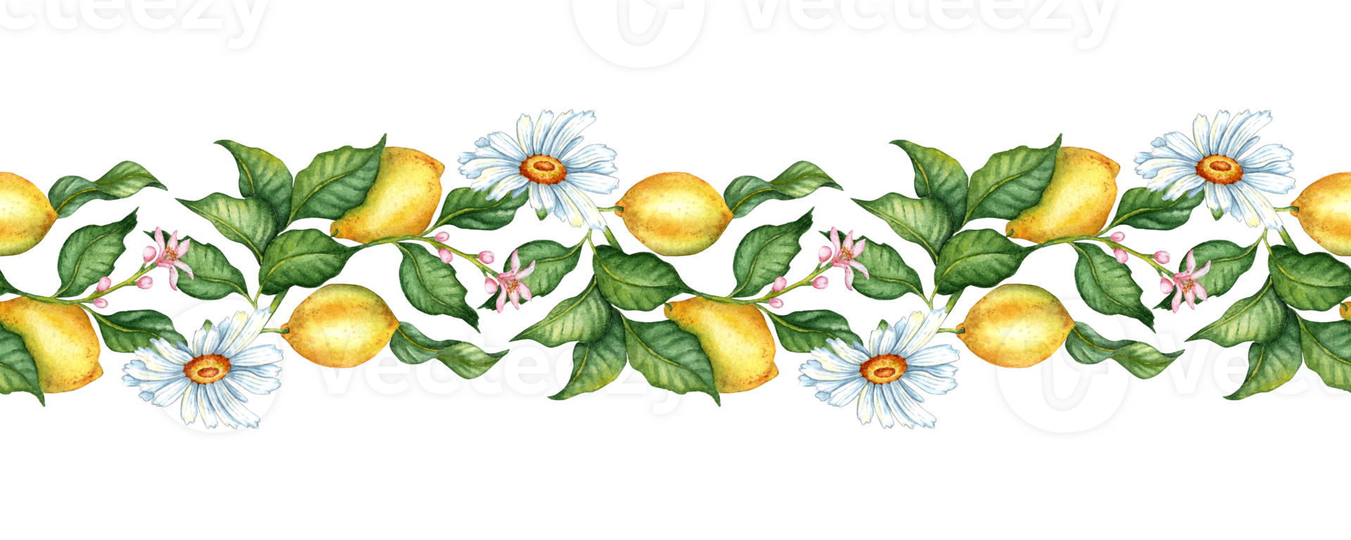 Seamless pattern Lemons are yellow, juicy, ripe, with green leaves, flower buds on the branches and daisies. Watercolor botanical illustration isolated. Delicious food for design, print, fabric, png